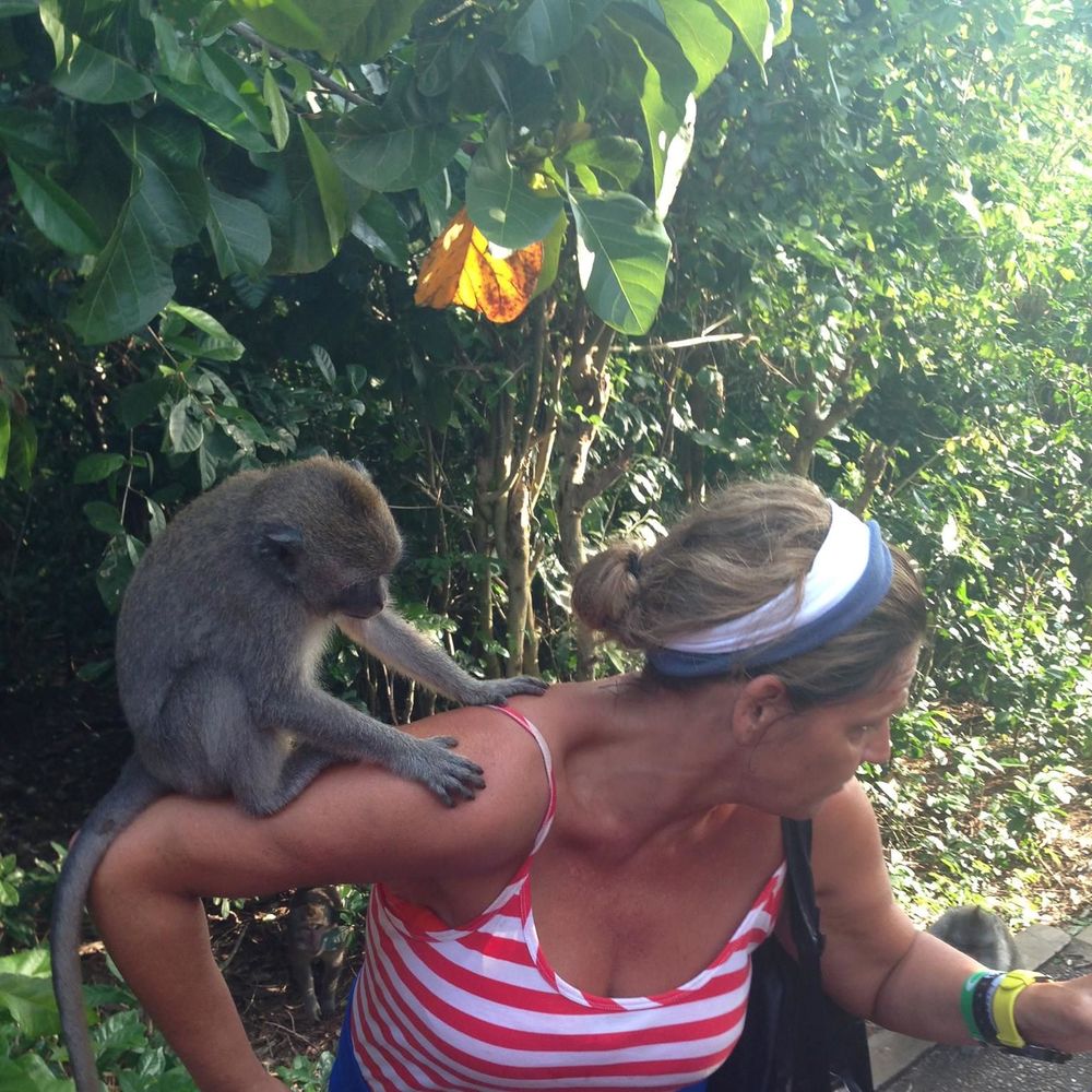 Meet your Posher, Jill